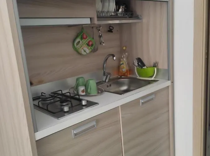 L'agapanto Viola * Gaeta