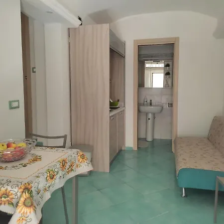 L'agapanto Viola Gaeta