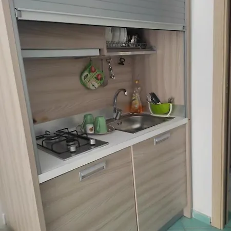 L'agapanto Viola * Gaeta